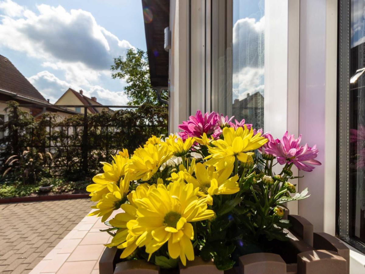 Ferienwohnung Schwarz Gademow Exterior photo